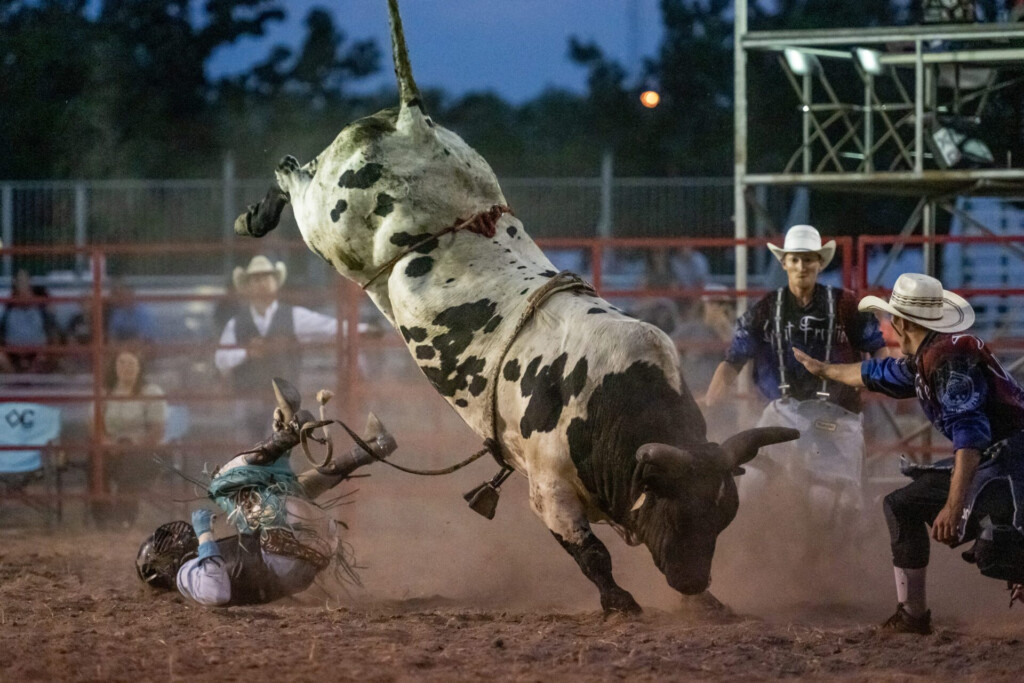 Bull Riding Waseca County Free Fair Waseca MN