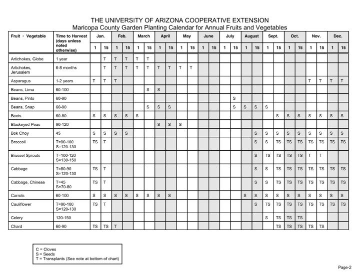 Court Calendar Maricopa County Printable Word Searches