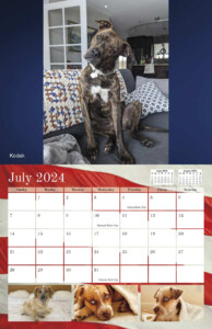 La Plata County Humane Society 2024 Calendar Yearbox Calendars