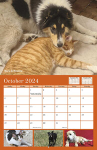 La Plata County Humane Society 2024 Calendar Yearbox Calendars