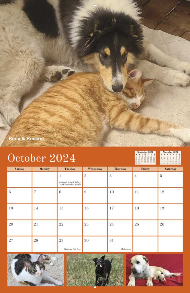 La Plata County Humane Society 2024 Calendar Yearbox Calendars