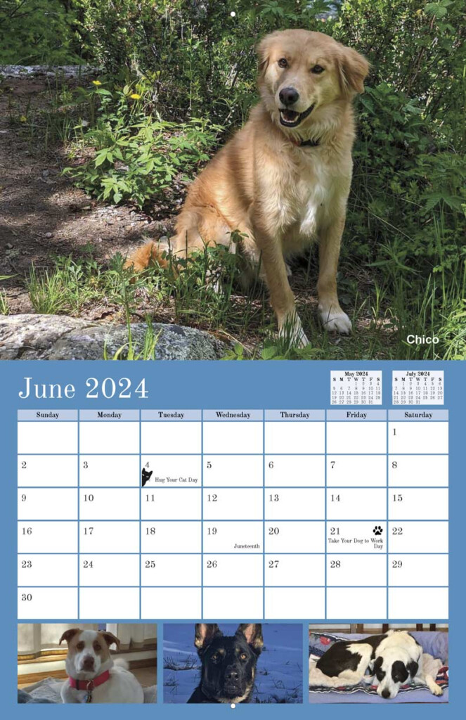 La Plata County Humane Society 2024 Calendar Yearbox Calendars